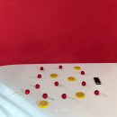 이천로 | 대구셀프스튜디오에서 반려묘랑 셀프촬영｜대봉동 리다스튜디오 후기