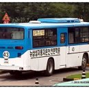 삼성여객자동차(주) 이미지