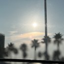 교향시 -화음 | 사랑과 죽음의 경계에서 – 바그너, 트리스탄과 이졸데