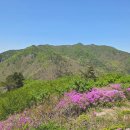 개인택시(웅치) 이미지