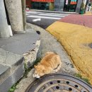 베이커리소담