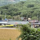 농월초계탕 | [경남/함양] 황석산 등산 후, 시원한 음식이 생각날 때 - 농월초계탕막국수