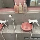 퍼니풀 이미지