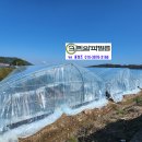 스타필름 이미지