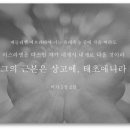 미가 이미지