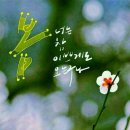 레지나 이미지