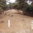 이일 장군 묘소 Daum카페