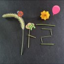 왔어요 이미지