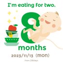 임신 28주차 칼슘 많이 먹기의 놀라운 결과 + 입체초음파 성공