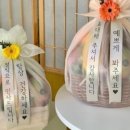 메이팜스 - 광명시 일직로 77 | 메이팜스