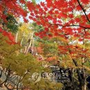(주)여행담 이미지