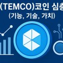 템코(TEMCO)코인 심층분석 (기능, 기술, 가치)