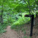 [1일 2산, 황악산•비슬산] 최단코스 후기