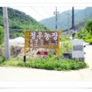 번지농장1번 이미지