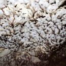 제주 한림 용암동굴지대 이미지