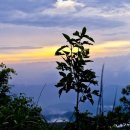 산내들 한우촌 이미지