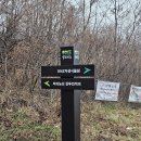 자생식물원 이미지