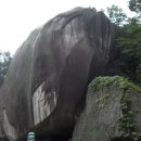 금화고속관광 이미지