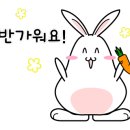 꿀꿀대포집 이미지