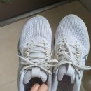 신지알뜰매장 | 뉴발란스 860v15 👟 두 번째 러닝화