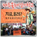열린자원 | 4월 제주올레 걷기학교 지금올레 서울 후기, 서울숲에서 열린 특별한 걷기 프로그램과 꽃배낭여행자의...