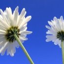 파워포인트 활용 이미지