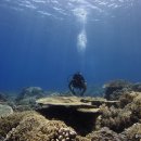 아름다운 풀빌라 이미지