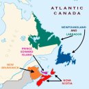 주식회사 펫츠코 이미지