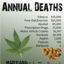 담배보다 대마초를 피우는게 낫다,,,대마초는 마약이 아닙니다. 대마초를 합법화(비범죄화)하면 담배 흡연률이 줄어들고 폐암 사망률도 낮아질 거라는 이미지