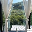 라포레이팝 이미지