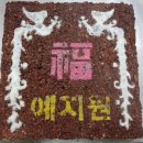 예지원유치원 이미지