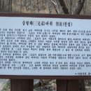 대포리 석조여래입상 이미지