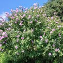 자만동경로당 이미지