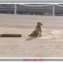 볏집사랑 이미지