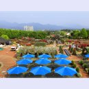 곡성-053 이미지