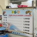 [속초 맛집] 속초 저렴한 횟집 회 포장 청호활어회센터 주원수산 내돈내산