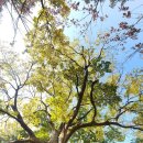 정담은집밥 이미지