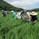 농부아저씨 이미지