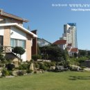 아지랑냉이랑 이미지