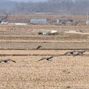 마정2리 이미지