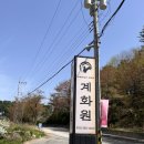 계화원 - 서대문구 | 가평 숯불닭갈비 맛집 계화원 내돈내산 후기