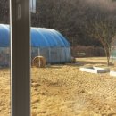 기승전컷