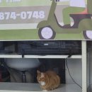 김밥천국중리점 이미지