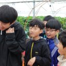 새샘농장 네이버블로그