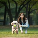 강아지와 산책 이미지