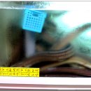 진성횟집 이미지