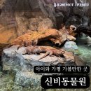 실내동물원에 카피바라가 돌아다닌다고요? 가평 신비동물원 후기