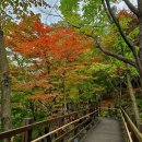 "가을의 매력을 더하다: 단풍 명소 BEST 4 추천" 이미지