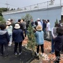 안덕농장 이미지