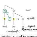 [음성음운론] foot결정 이미지